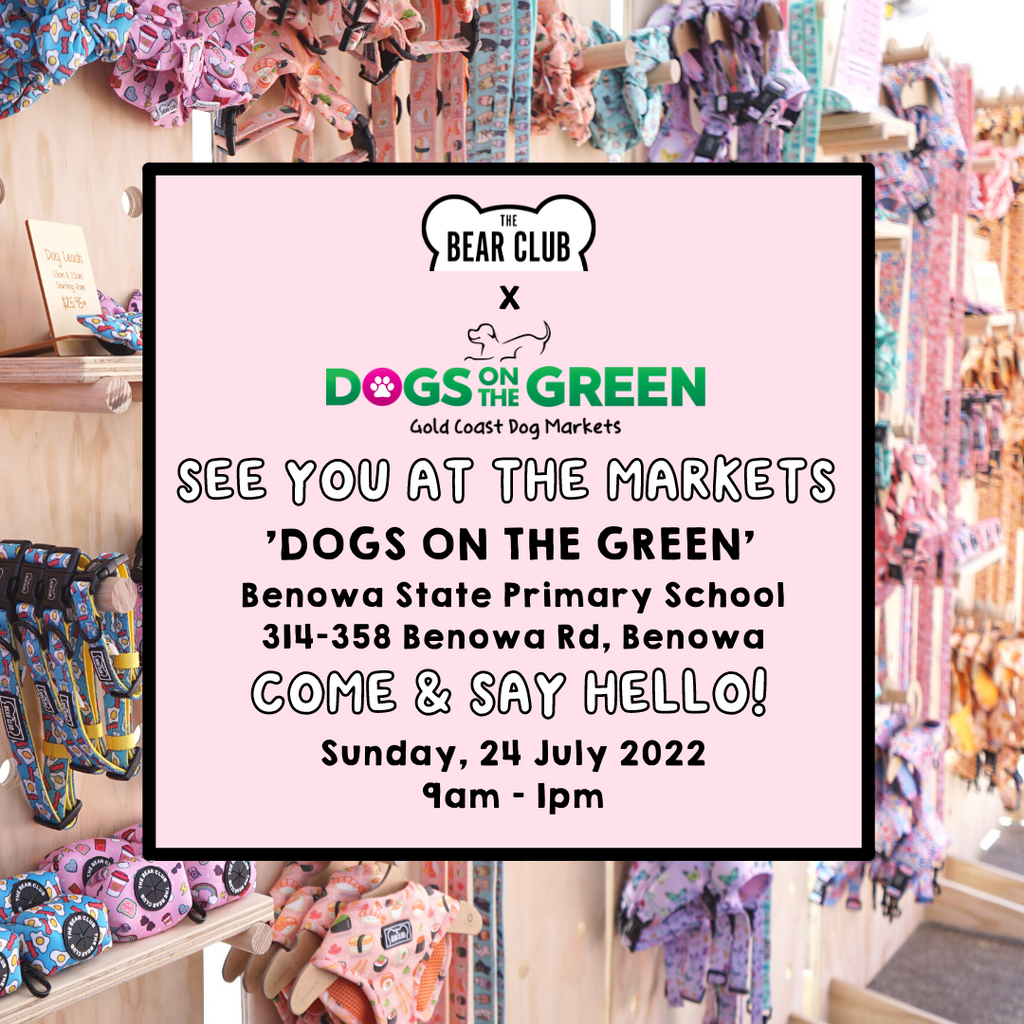 DOGS ON THE GREEN - 24 JULY